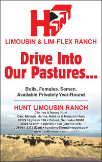 Hunt Limousin Sale