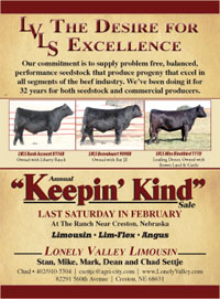 LVLS Limousin Sale