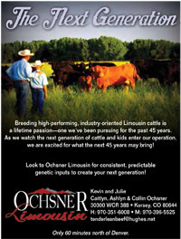 Ochsner Limousin Sale