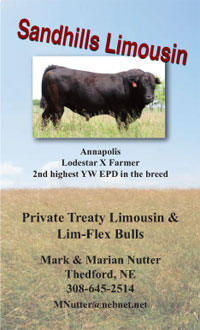 Sandhills Limousin Sale